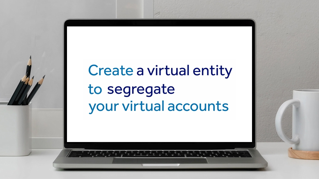 Virtual Entity and Account Creation Video